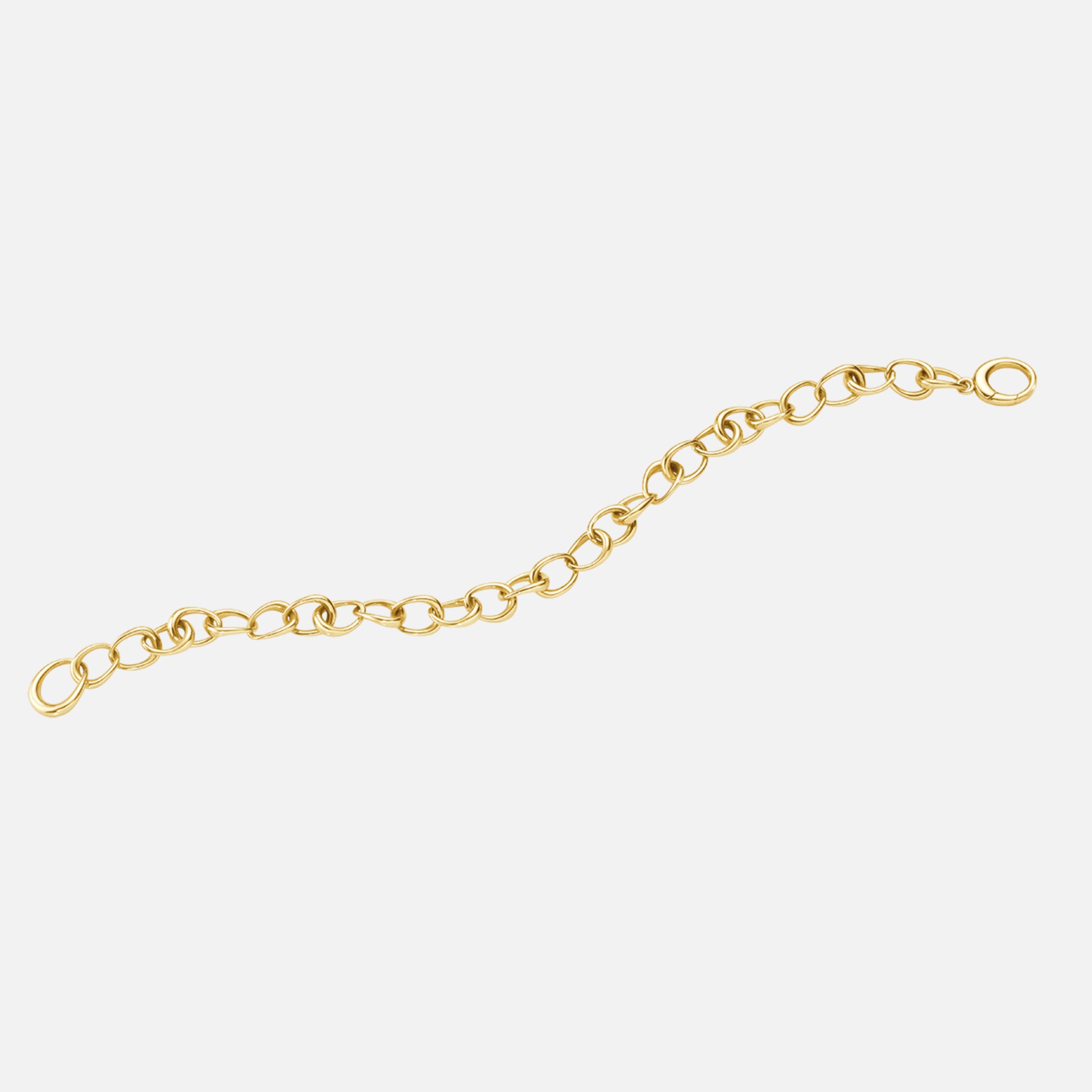 Offspring Link Bracelet