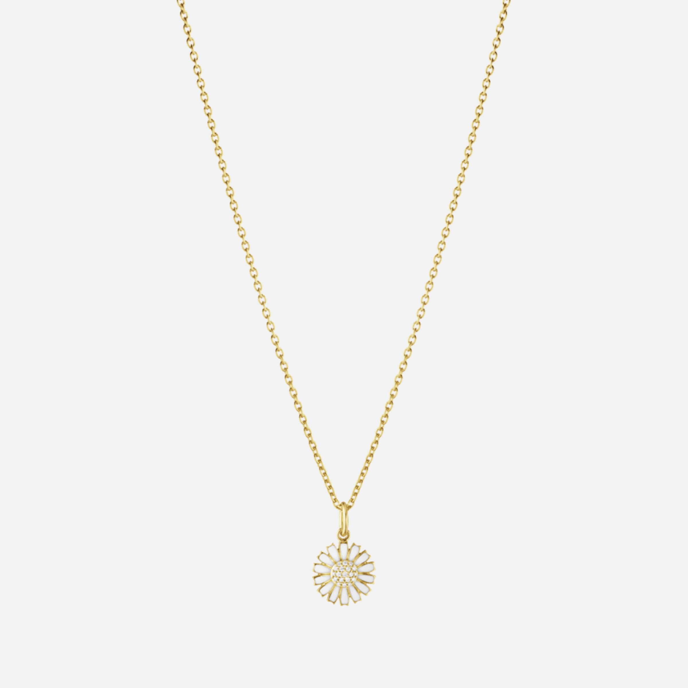 Daisy Halsband