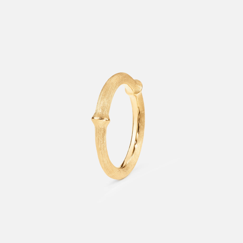 Nature Ring III