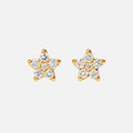Shooting Stars Stud Earrings Large