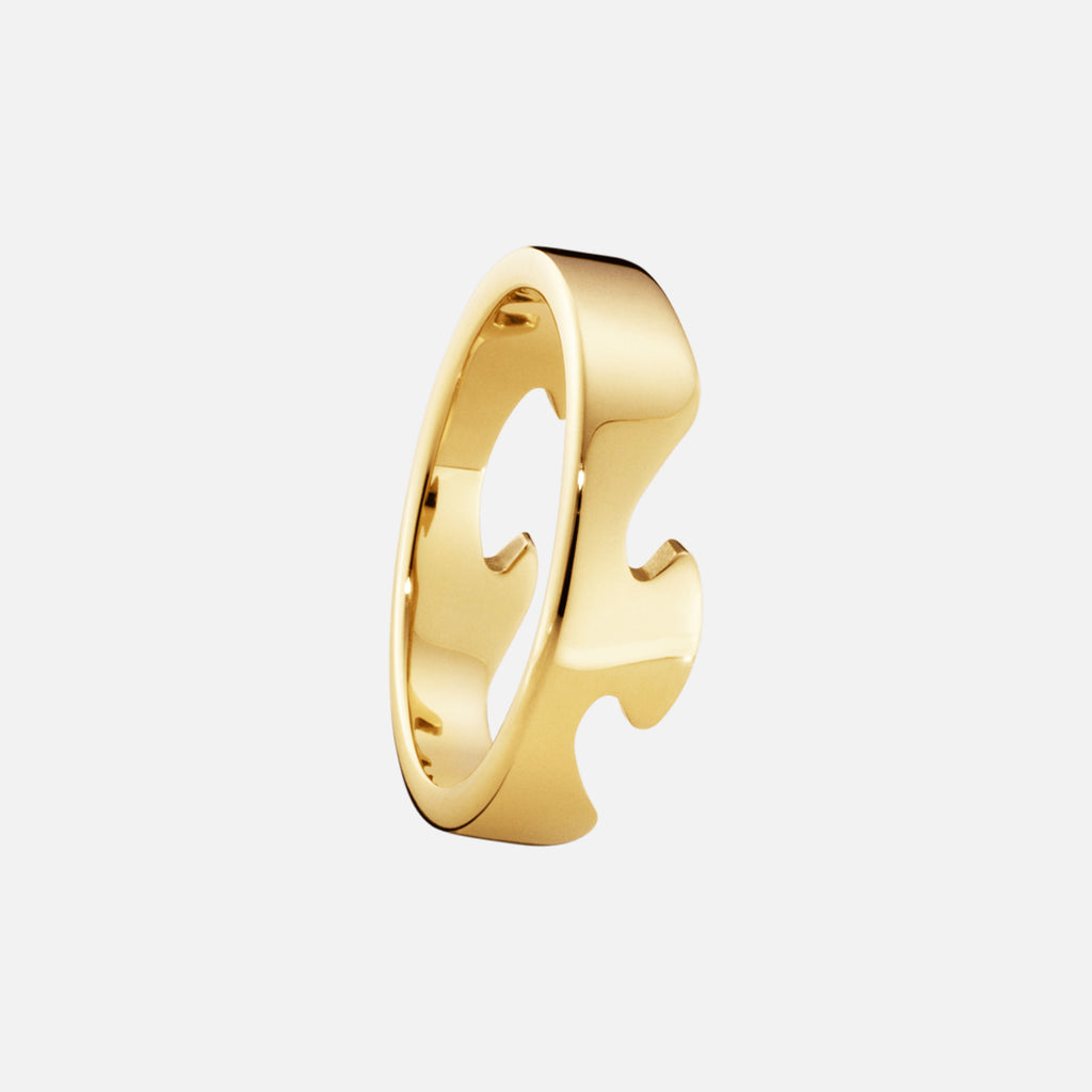 Fusion Ytterring