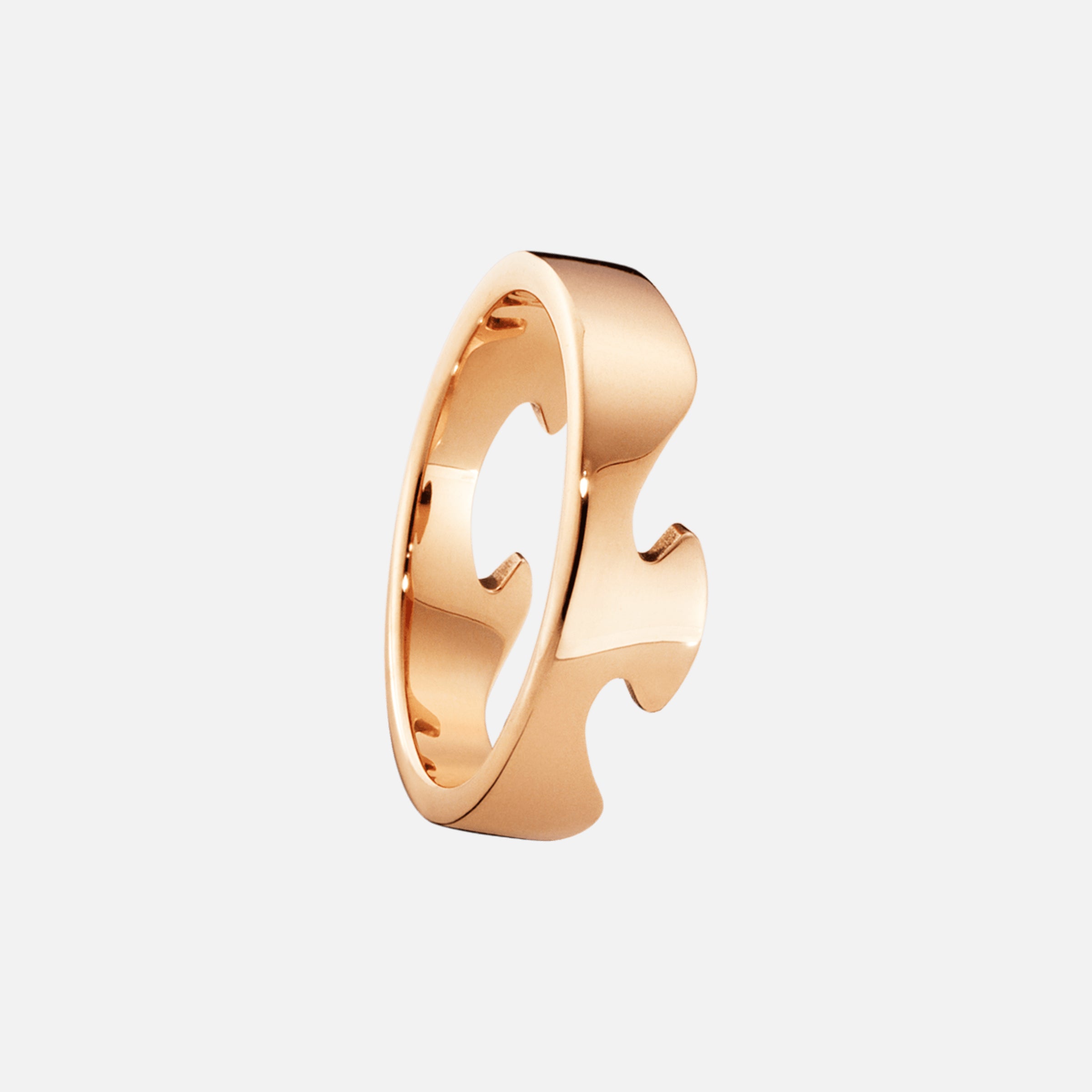 Fusion Ytterring