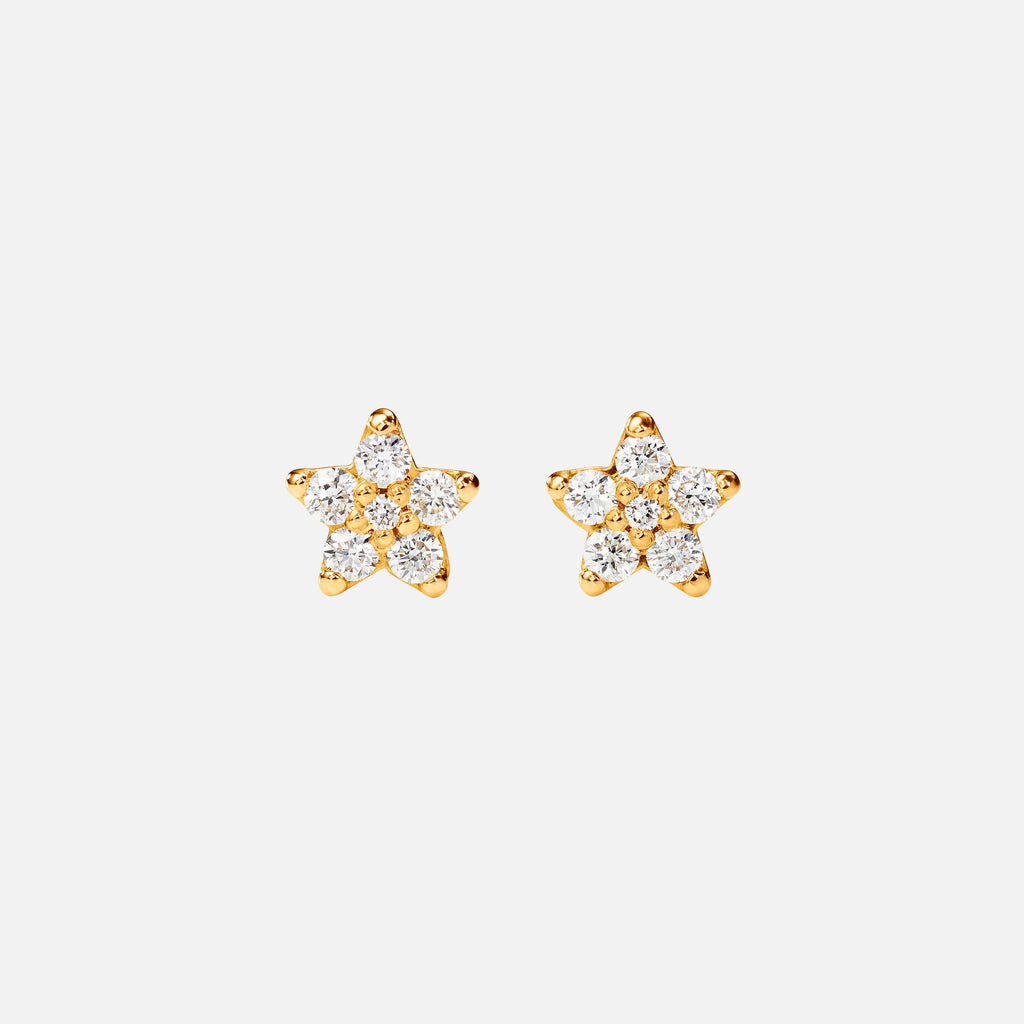 Shooting Stars Stud Earrings Mini