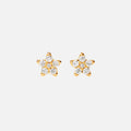 Shooting Stars Stud Earrings Mini