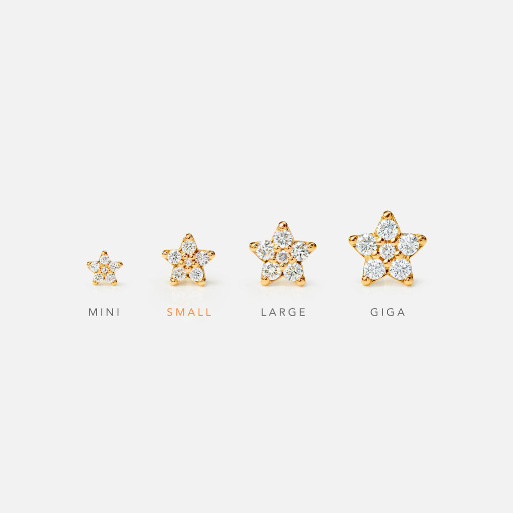 Shooting Stars Stud Earrings Small