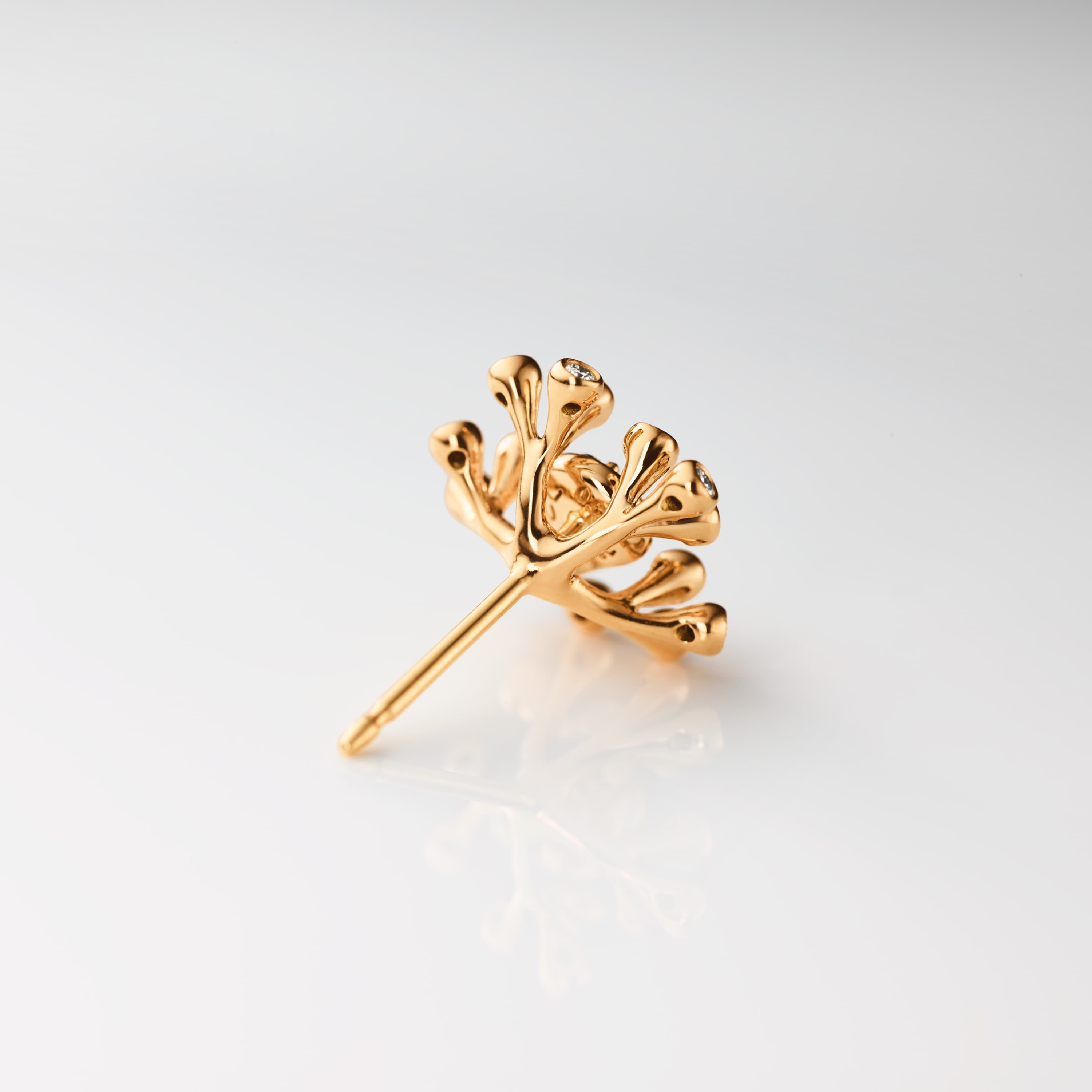 Wild Rose Stud Earrings