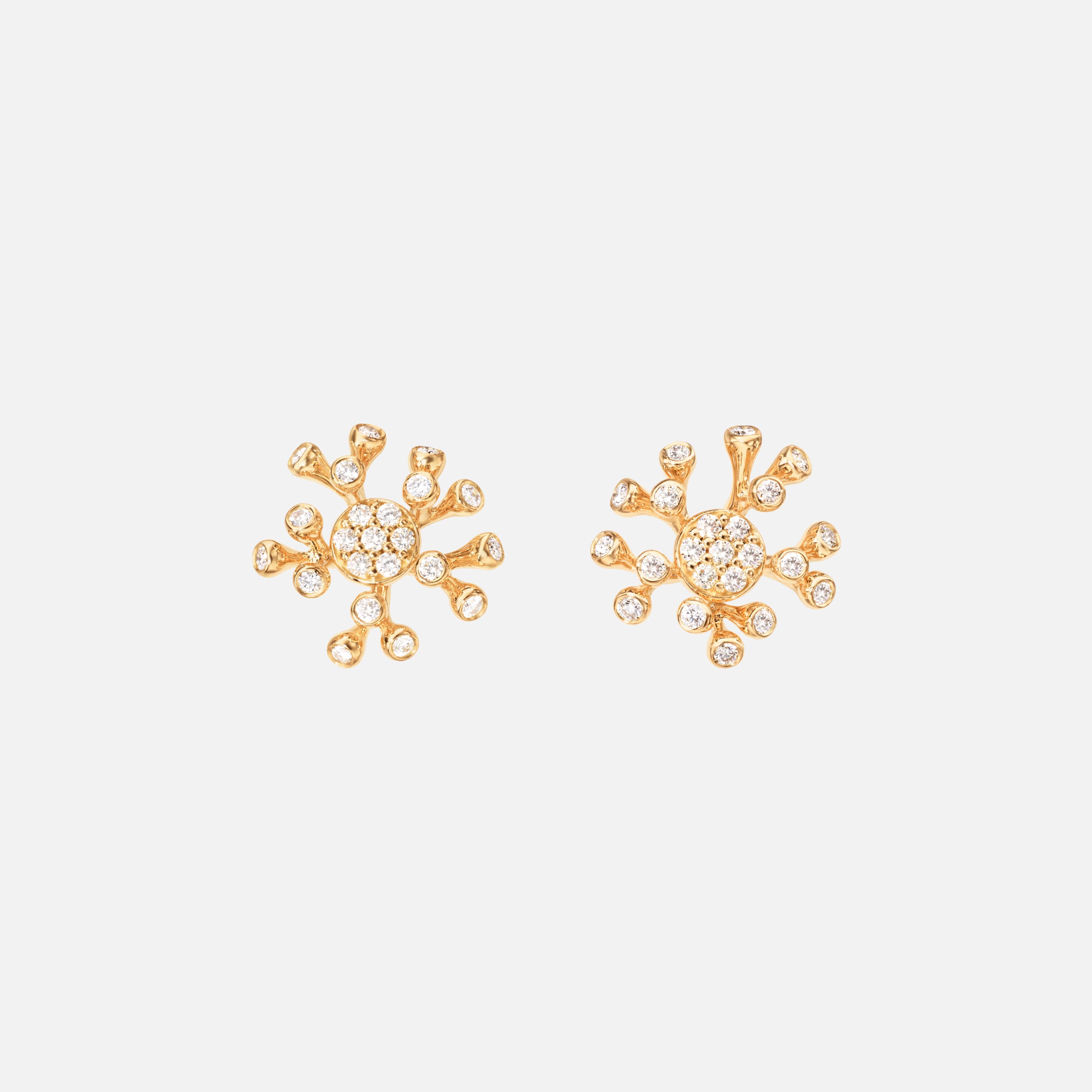 Wild Rose Stud Earrings